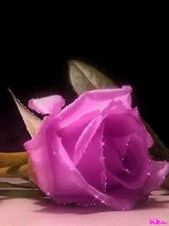 file_9389318