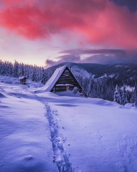file_95384649