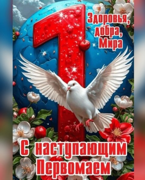 IMG 20260430 164931
