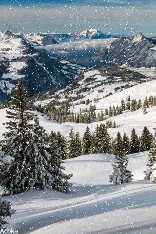 file_80113514