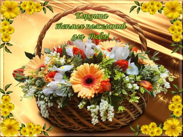 file_73958675