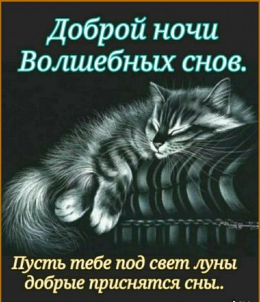file_89867895