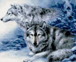 images (12)