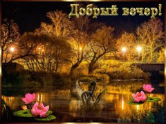 Добрый вечер