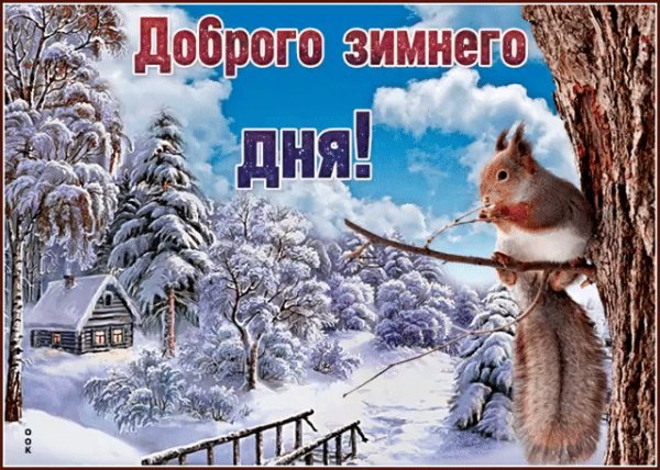 IMG 20240109 005010