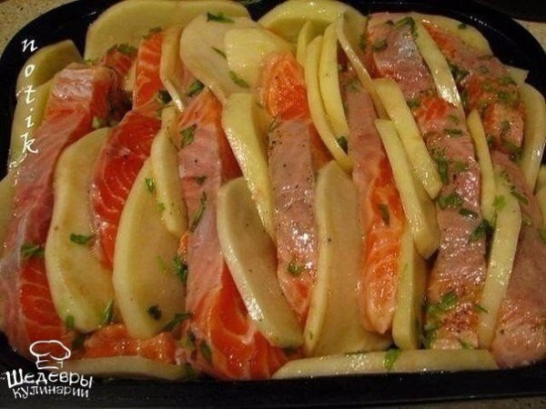 ЛОСОСЬ ЗАПЕЧЁННЫЙ С КАРТОФЕЛЕМ