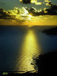 file_9323243