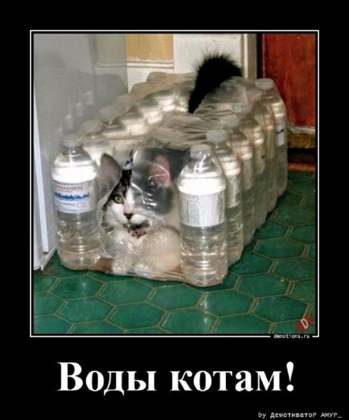 Воды котам