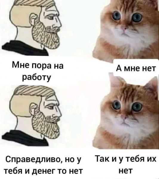 file_95764150