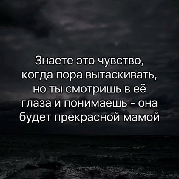 file_101677062