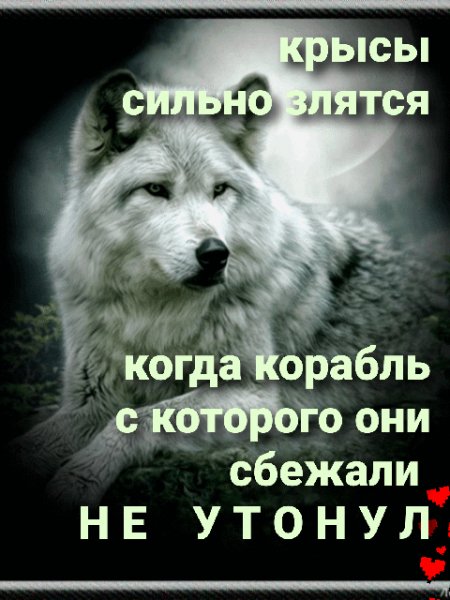 IMG 20200501 213453