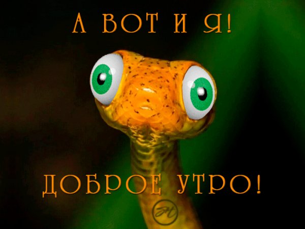 file_90132047