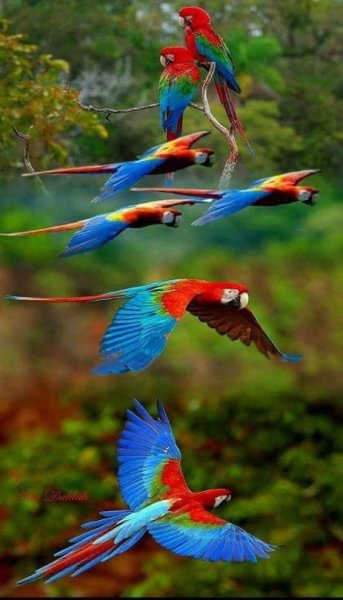 file_88364628