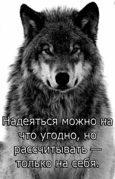 file_101974805