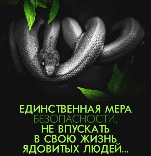 9mcROBRpw9-