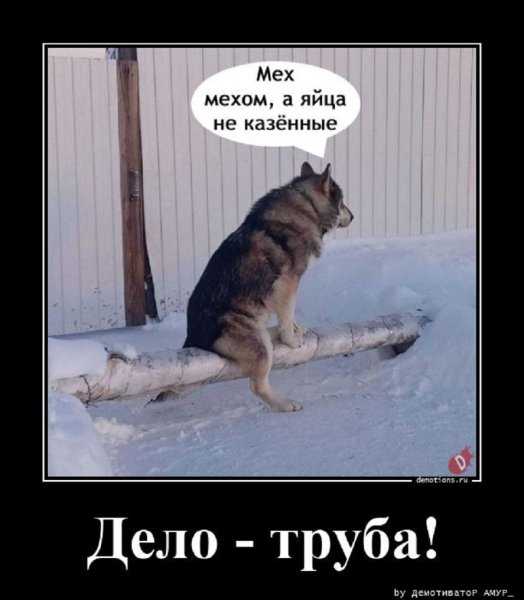 Дело - труба!