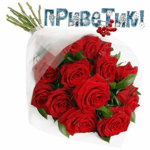 ПриветикБ.ал.роз