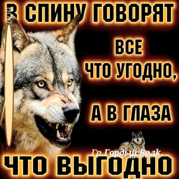 file_102589969