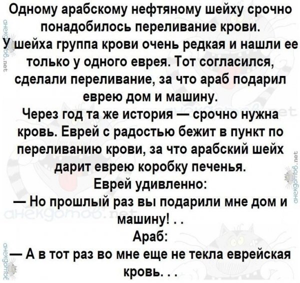 IMG 20250104 095144