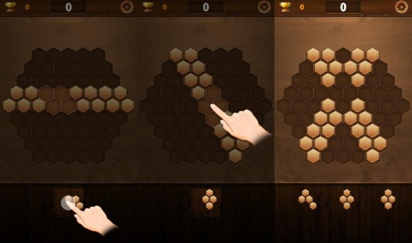 Wood Block Hexagon v2.0(2)