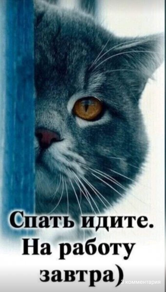 Screenshot 2024-02-19-04-42-43-667 com.facebook.katana-edit
