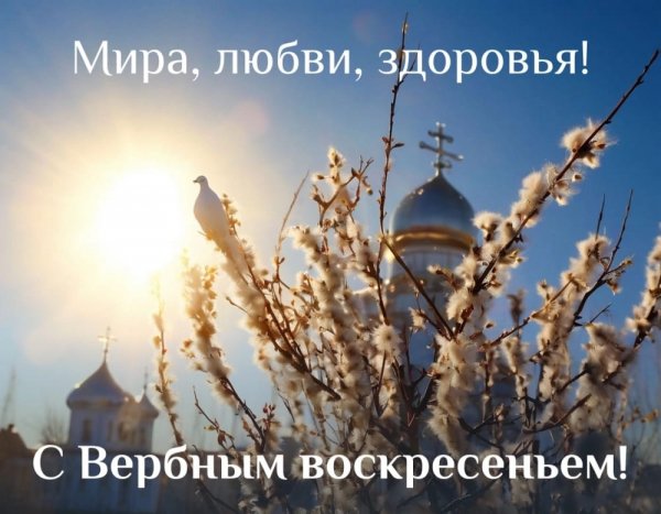 IMG-20250413-WA0023