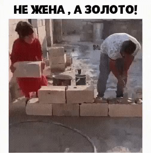 IMG 20221119 233729