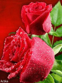 file_61816186
