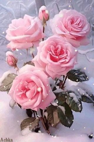 file_95420204