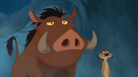 - Timon And Pumba Oh Lion King - Discover &amp; Share GIFs