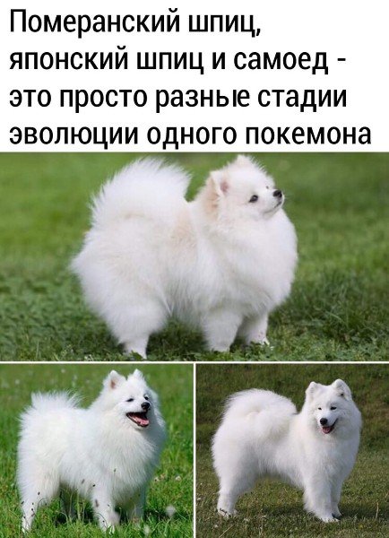 file_102444166