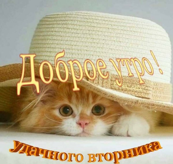 IMG 20191210 884826