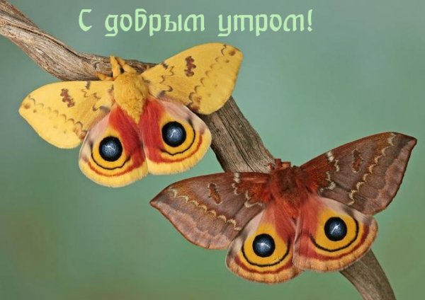 IMG 20190505 344997