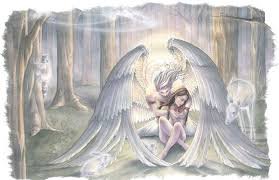 images (1)