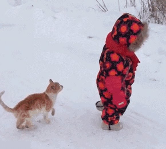 сме0890-8