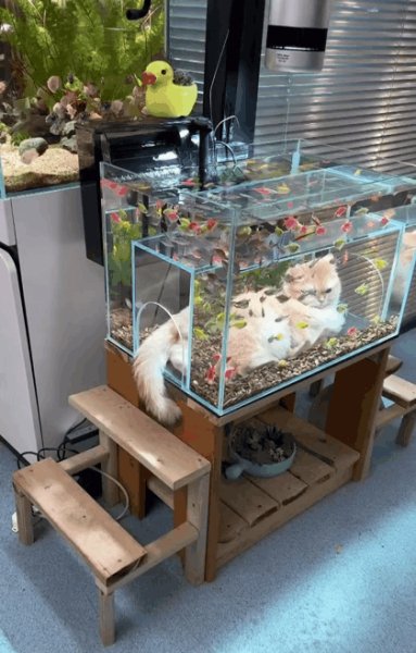 IMG 20240307 001525