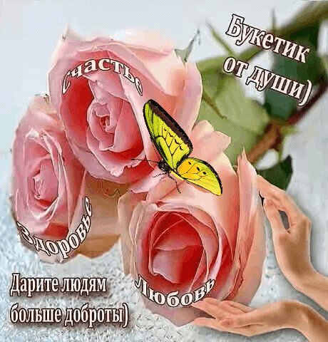 Бабочка.РозыЛадошкиПожелания
