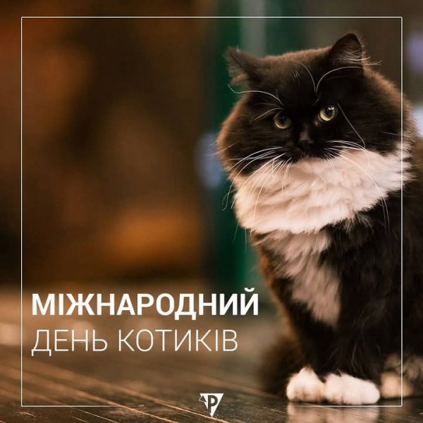 FB IMG 1754714368271
