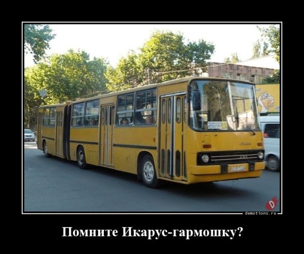 d5df01e1ffe39c2f 4 (96)