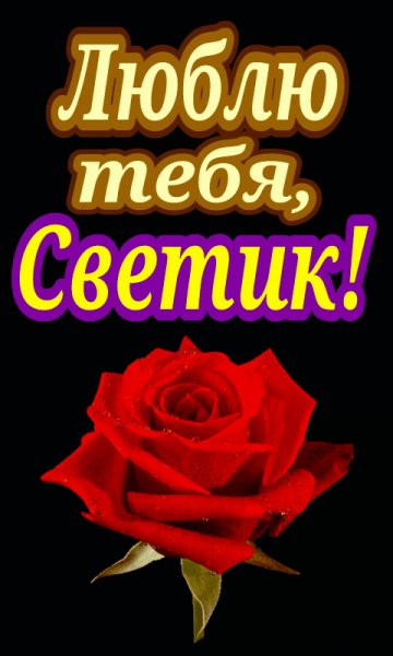 люблюТебяСветик(роза)