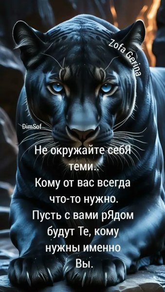 Img 8 1740623517233