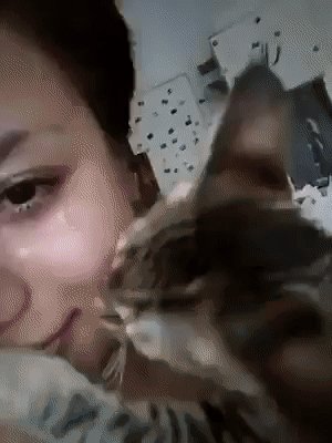 gif 1466019883