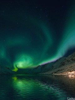 file_78615544