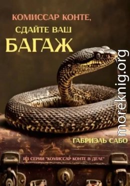 Комиссар Конте, сдайте ваш багаж