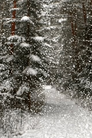 file_75706302