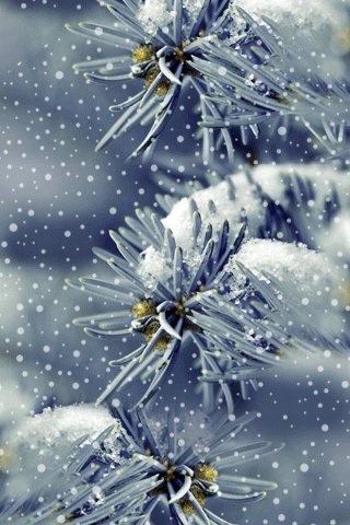 file_75900553
