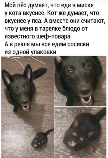 FB IMG 1764353747346