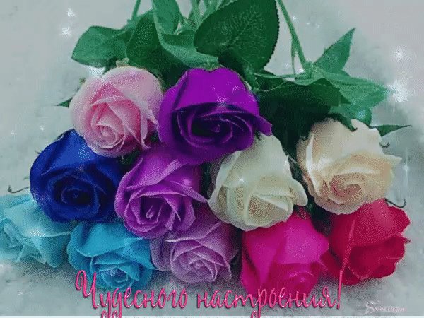 file_80643940