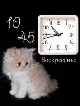 Пушистик дв часы