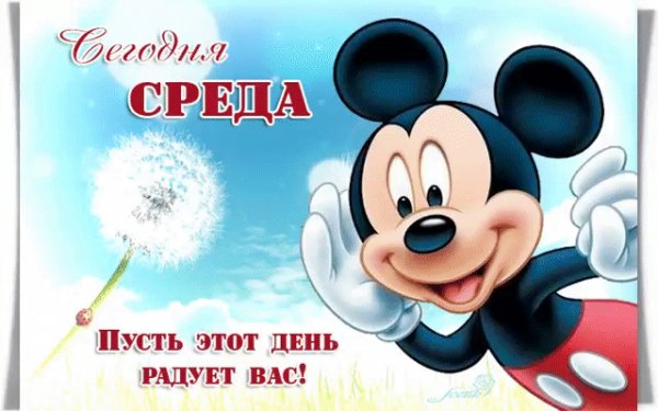 среда